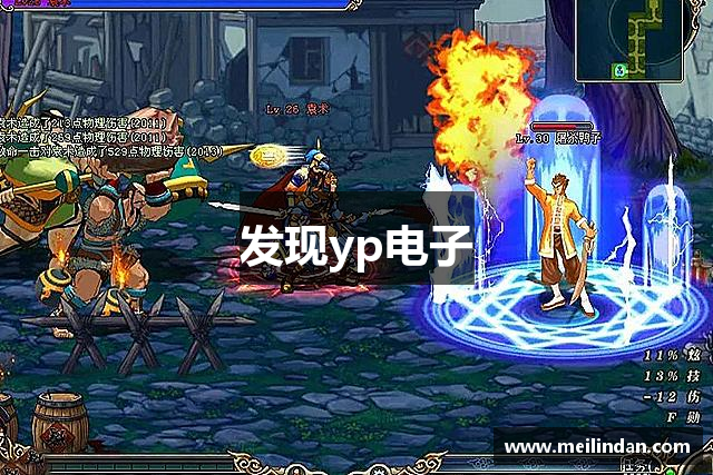 发现yp电子